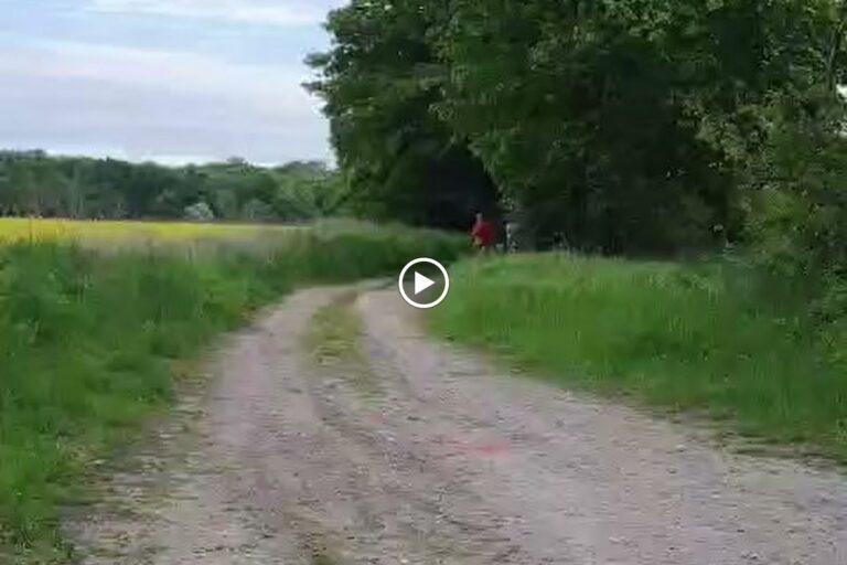 Filmy Łukasza